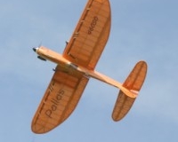 Pallas