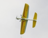Cardinal 4
