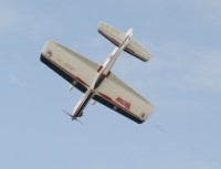 Vector